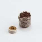 cocopeat growing media for seedlings