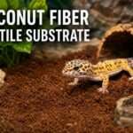 reptile substrate