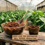 Coco Coir for Greenhouse Bell Pepper Production